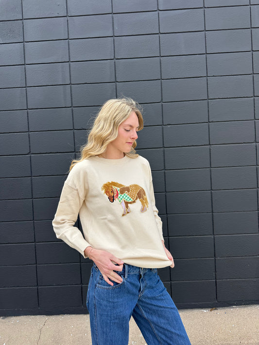 Pony Embrd Crew Pull Over Sweater