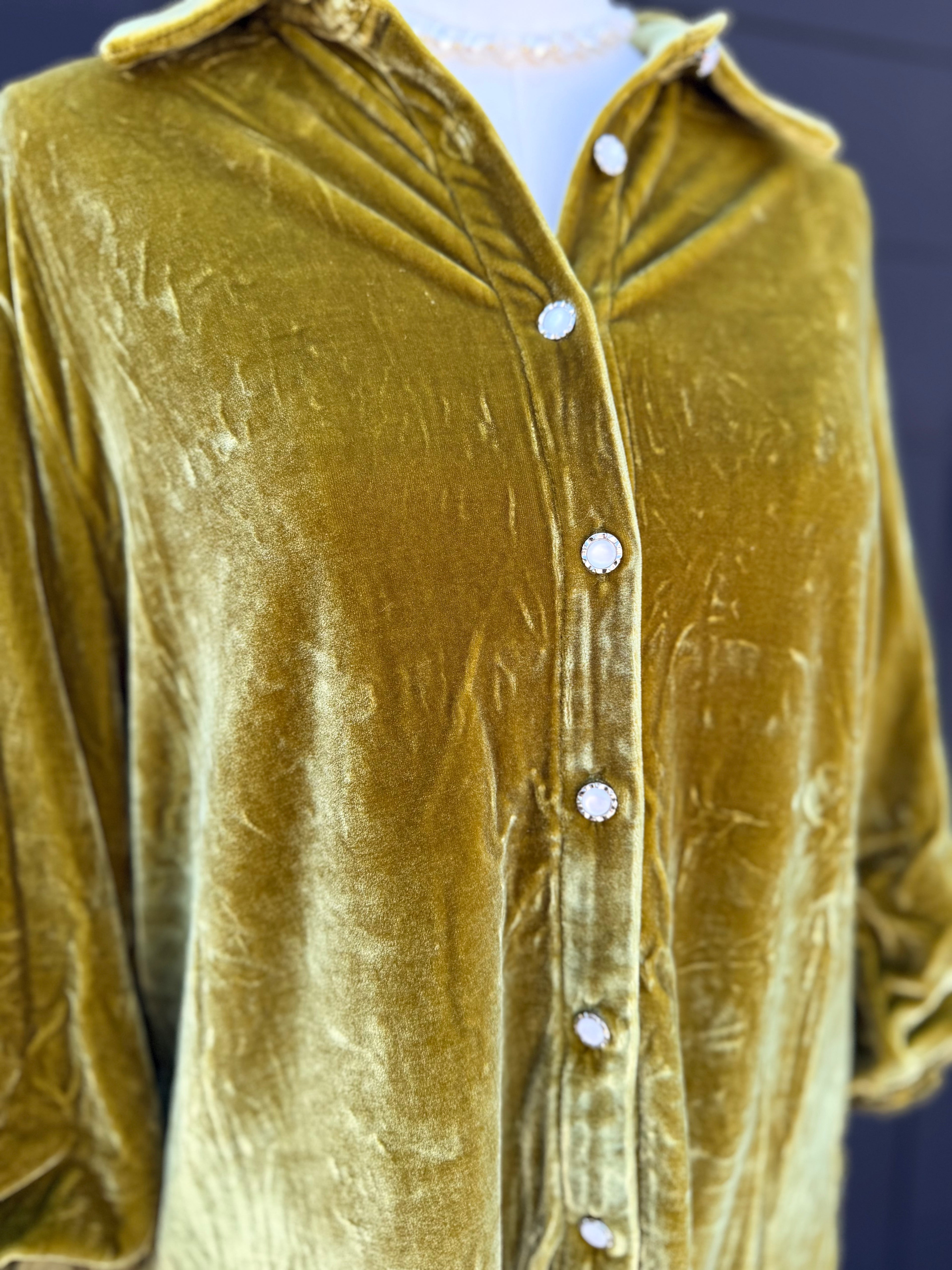Green Tea Velvet Top